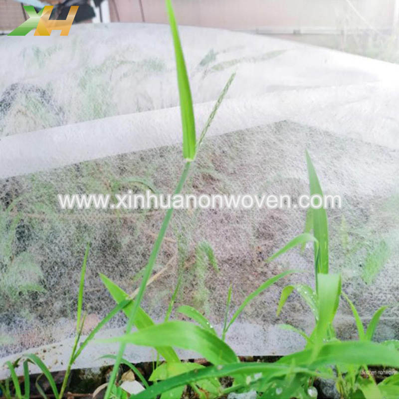 plant cover non woven