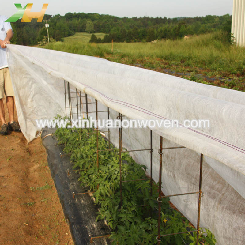 Por que a agricultura utiliza tecidos não tecidos?