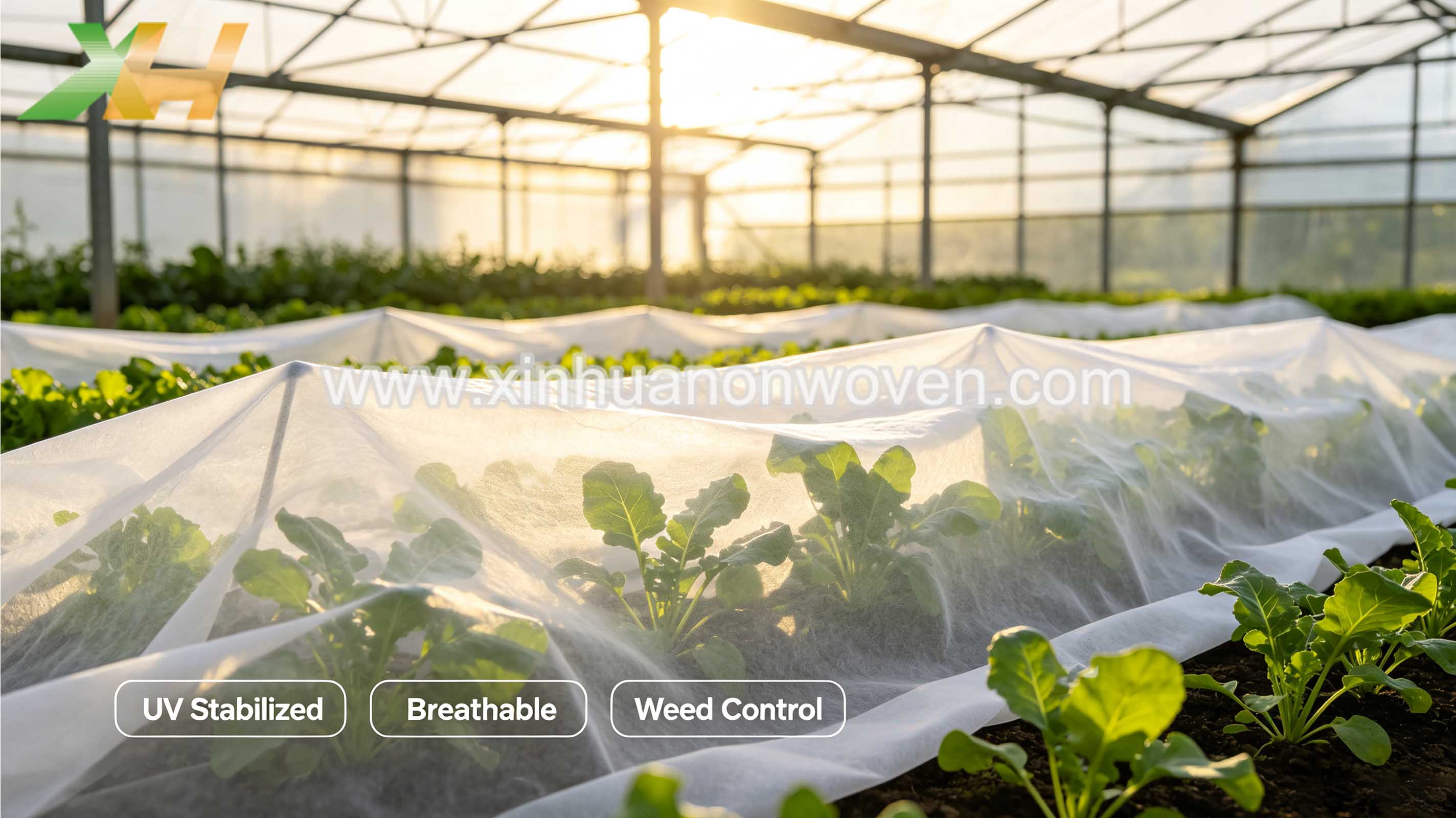 pp non woven fabric roll
